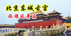 日本美女捅阴部网站中国北京-东城古宫旅游风景区